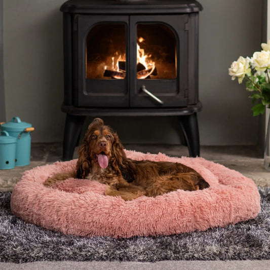 Washable Memory Foam Bed for Dogs Cats