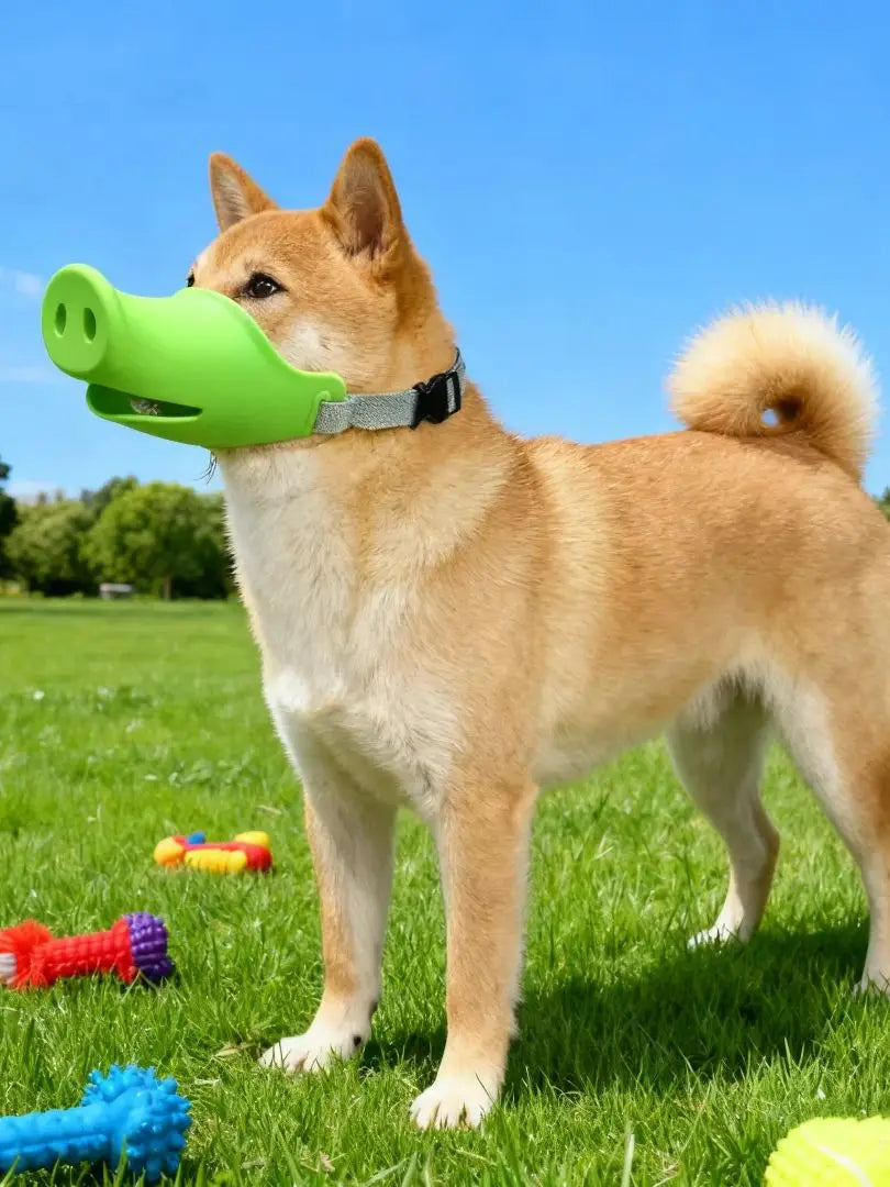 Pet Muzzle – Prevents Biting & Random Eating