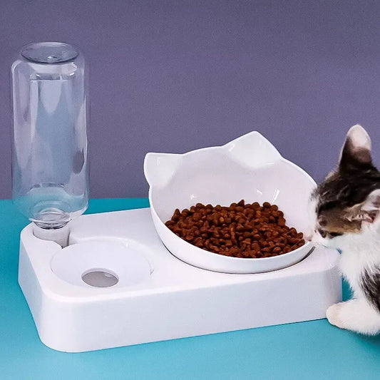 Automatic Pet Drinking and Feeding Bowl