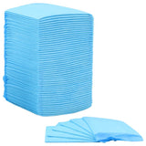 NNEVL Pet Training Pads 100 pcs 45x33 cm Non Woven Fabric
