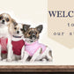 No-Pull Adjustable Nylon Dog Harness Vest