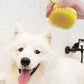 Soft Rubber Pet Grooming Shower Brush