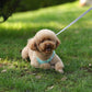 Pet Collar and Leash Set for Puppies