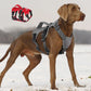 No-Pull Adjustable Nylon Dog Harness Vest