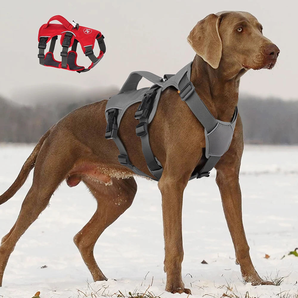 No-Pull Adjustable Nylon Dog Harness Vest
