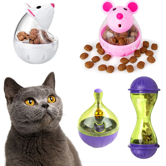 Leak-Proof Interactive Food Dispenser for Cats