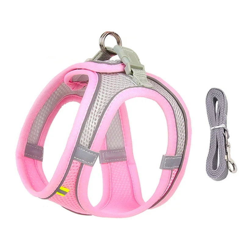 Pet Collar and Leash Set for Puppies