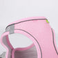 Pet Collar and Leash Set for Puppies