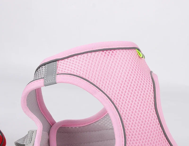 Pet Collar and Leash Set for Puppies