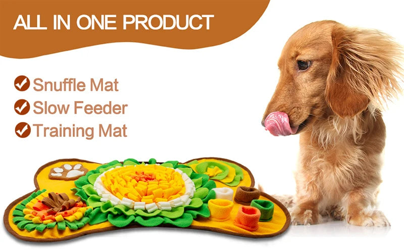 Pet Smell Training & Play Blanket