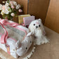 Comfortable Travel Bag for Cats and Dogs
