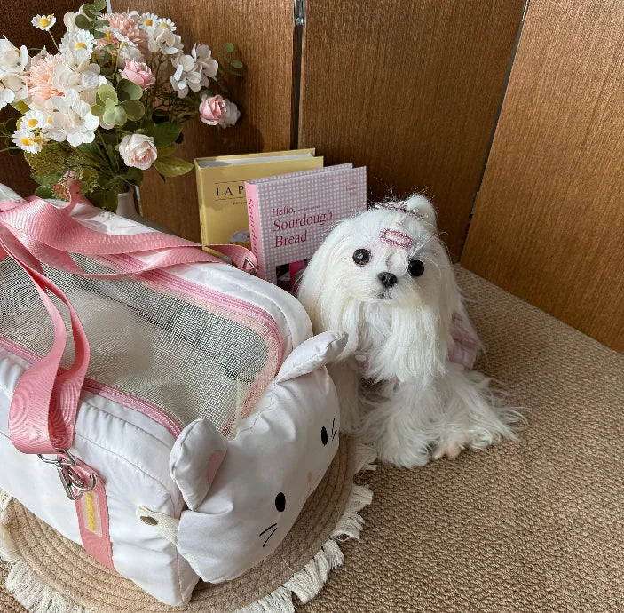 Comfortable Travel Bag for Cats and Dogs