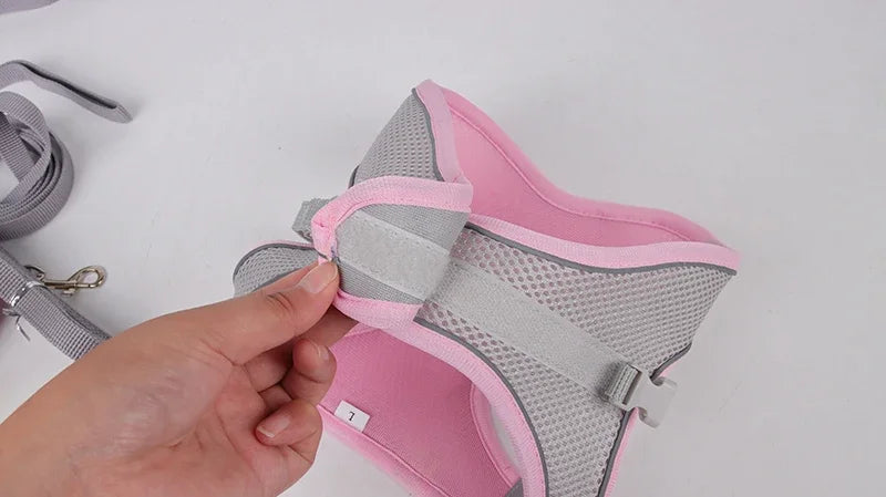Pet Collar and Leash Set for Puppies
