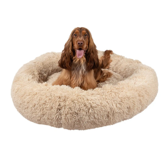 Washable Memory Foam Bed for Dogs Cats