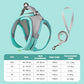 Pet Collar and Leash Set for Puppies