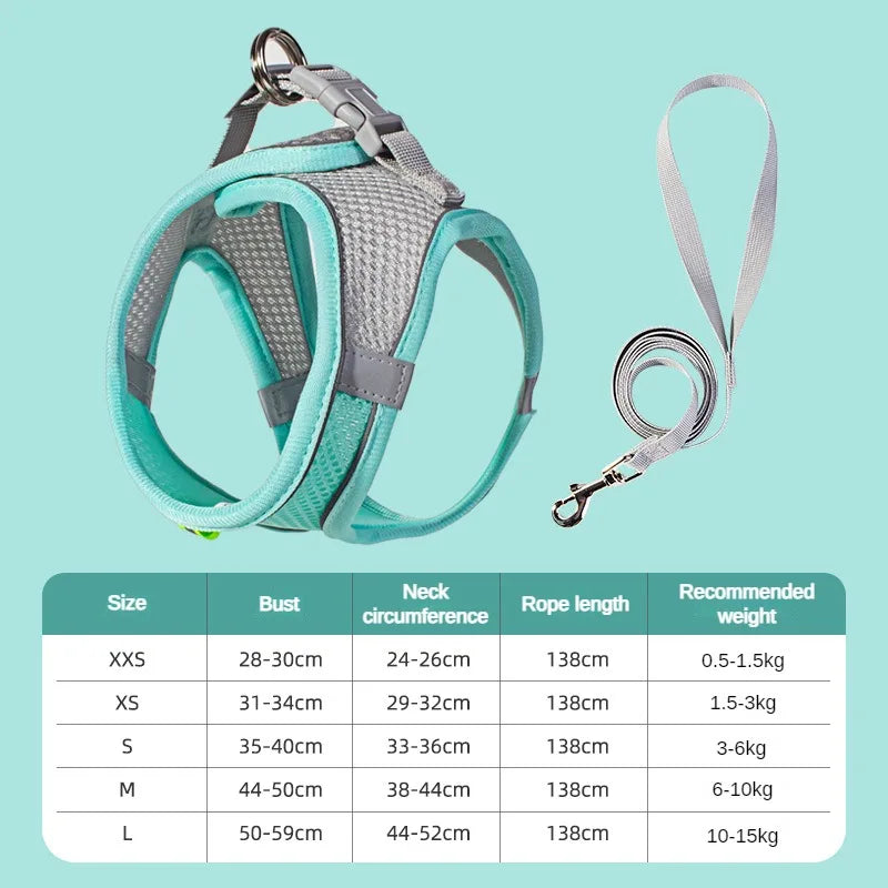 Pet Collar and Leash Set for Puppies