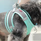 Pet Collar and Leash Set for Puppies