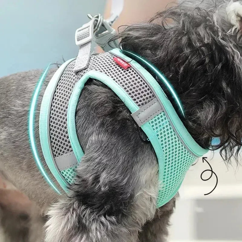 Pet Collar and Leash Set for Puppies