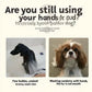Soft Rubber Pet Grooming Shower Brush