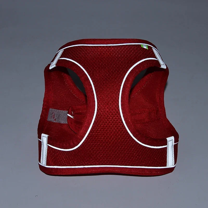 Pet Collar and Leash Set for Puppies