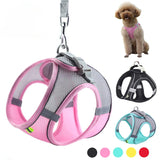 Pet Collar and Leash Set for Puppies