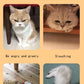 Comfortable Wooden Bed for Dogs Cats