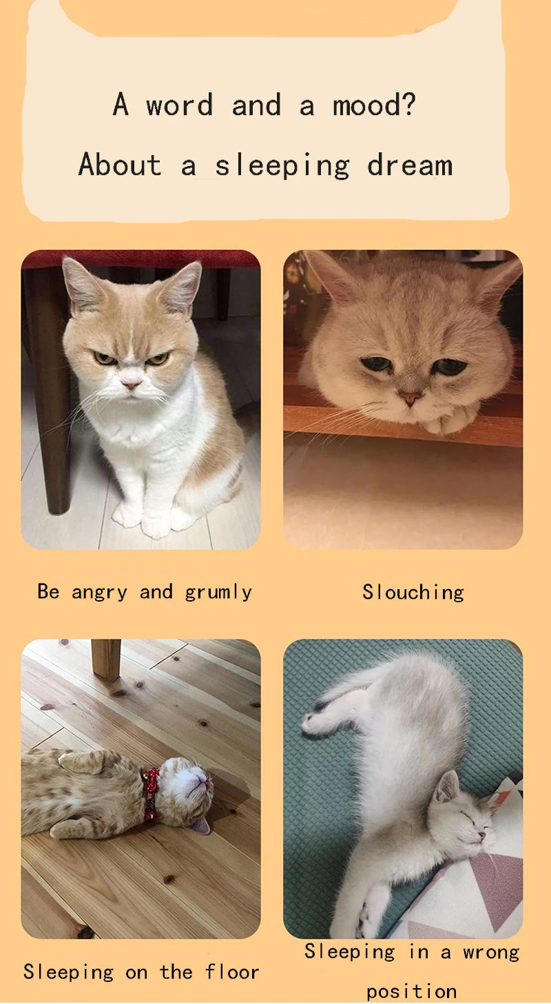 Comfortable Wooden Bed for Dogs Cats