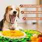 Pet Smell Training & Play Blanket