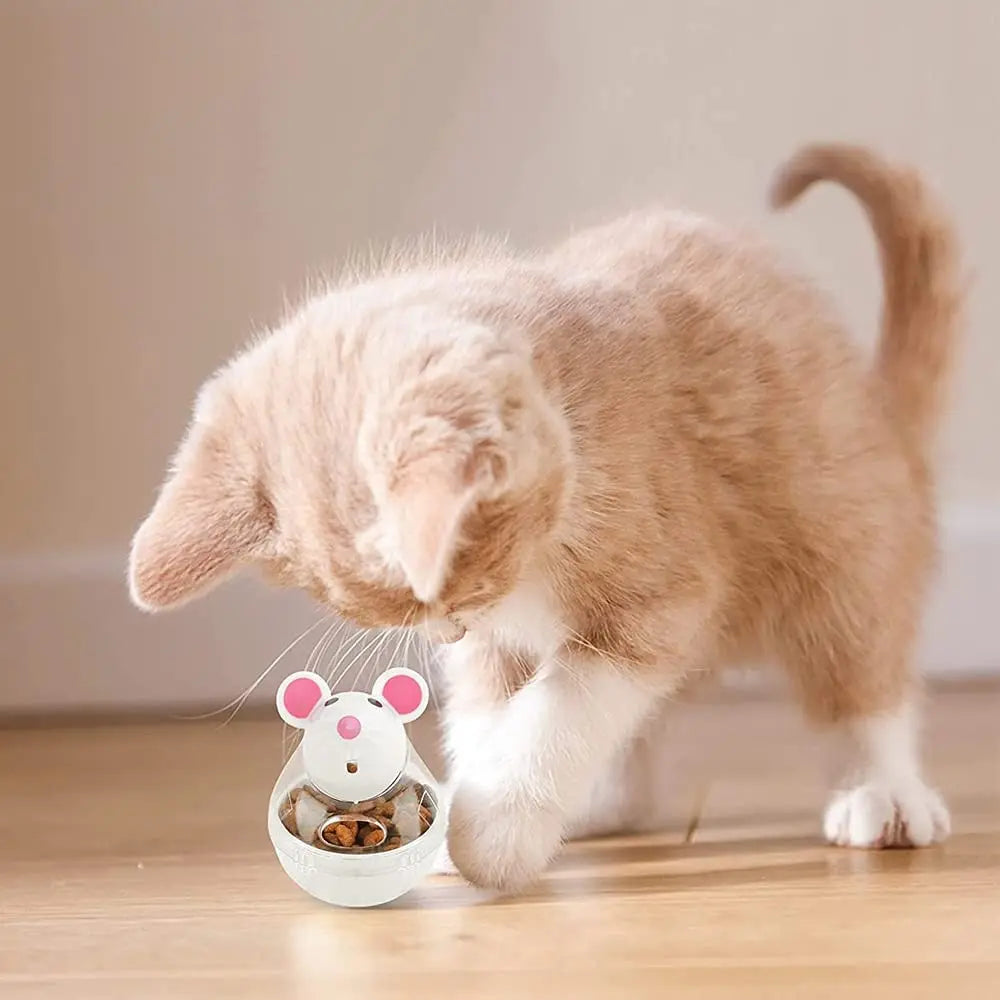Leak-Proof Interactive Food Dispenser for Cats