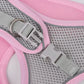 Pet Collar and Leash Set for Puppies