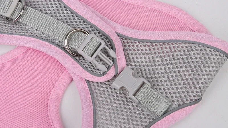 Pet Collar and Leash Set for Puppies