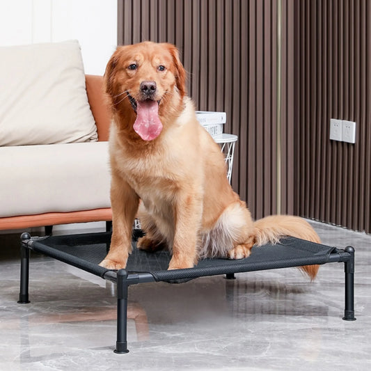Elevated Folding Pet Bed for Dogs Cats