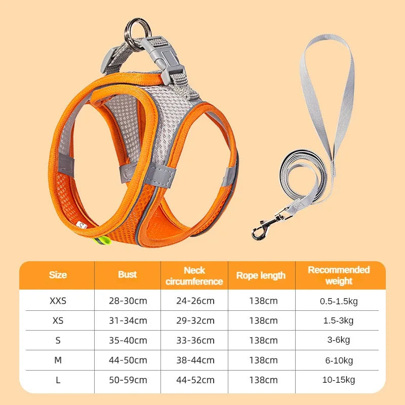 Pet Collar and Leash Set for Puppies
