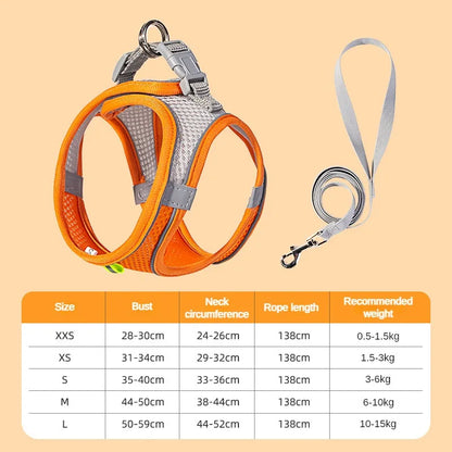 Pet Collar and Leash Set for Puppies