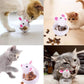 Leak-Proof Interactive Food Dispenser for Cats