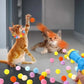 Shooting Ball Toy for Cats Entertainment