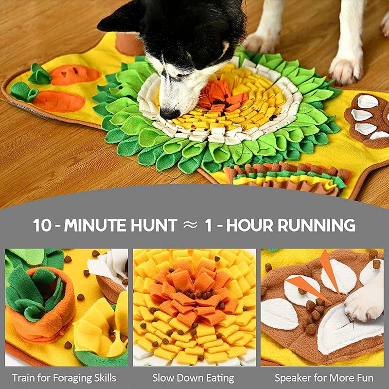 Pet Smell Training & Play Blanket