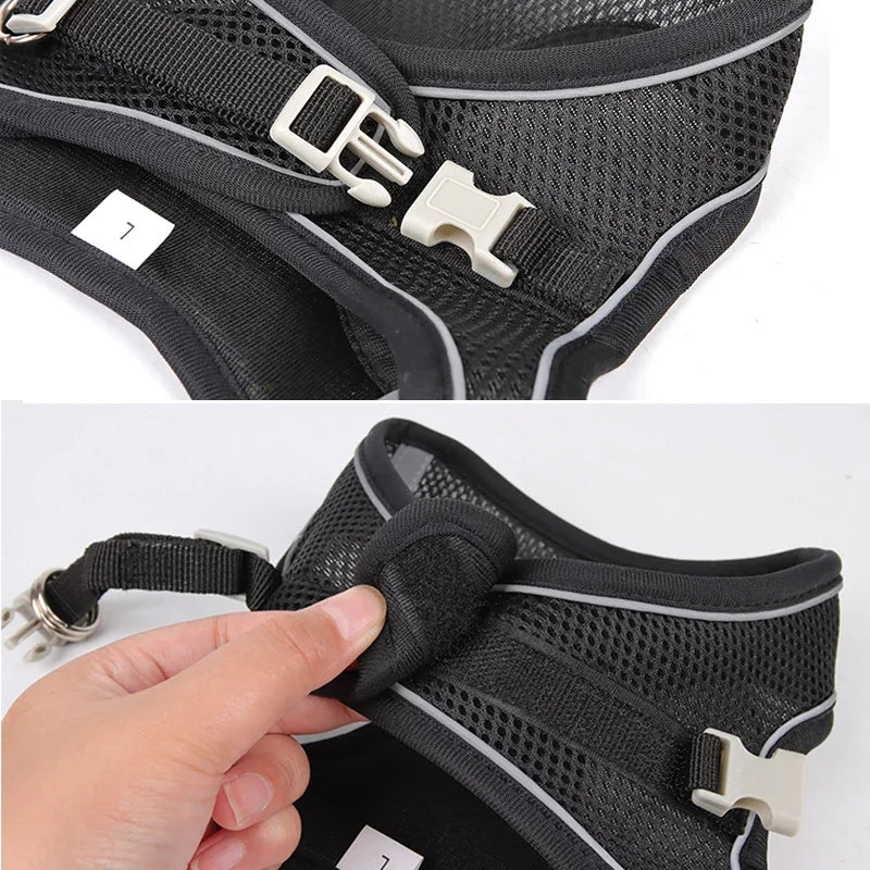 Pet Collar and Leash Set for Puppies