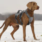 No-Pull Adjustable Nylon Dog Harness Vest