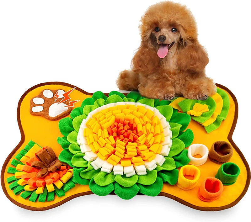 Pet Smell Training & Play Blanket