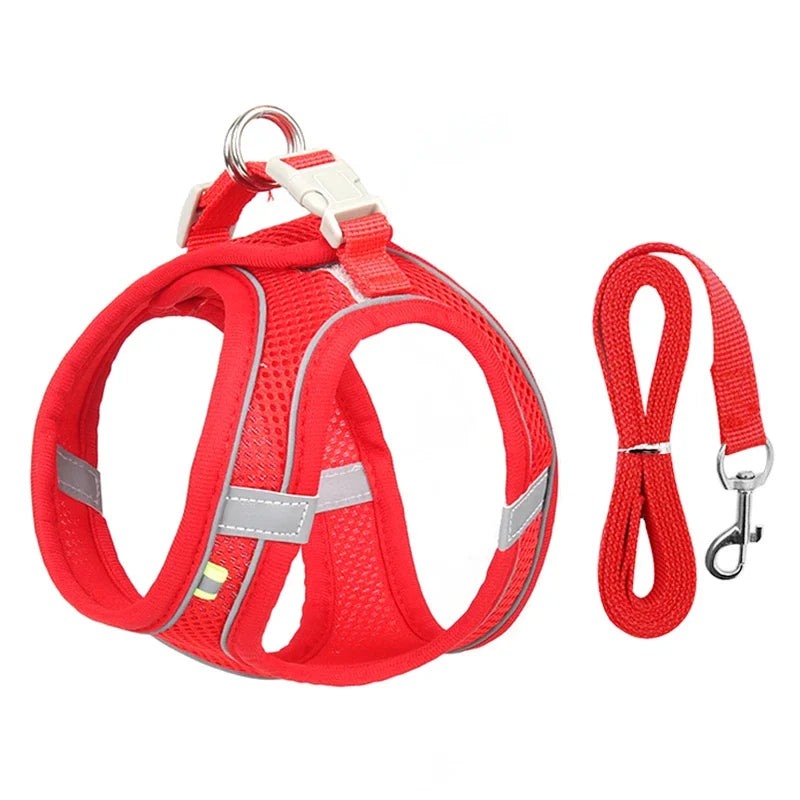 Pet Collar and Leash Set for Puppies