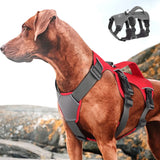 No-Pull Adjustable Nylon Dog Harness Vest