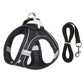 Pet Collar and Leash Set for Puppies