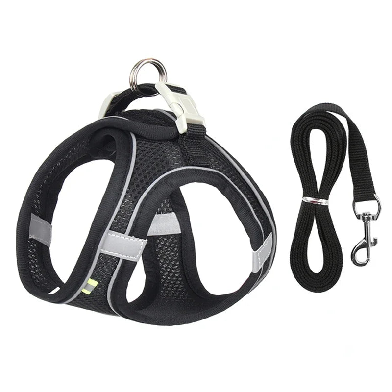 Pet Collar and Leash Set for Puppies