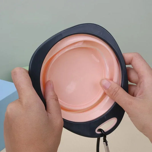 Health-Safe Travel Bowl for Dogs and Cats