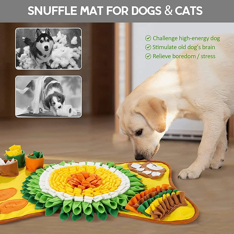 Pet Smell Training & Play Blanket