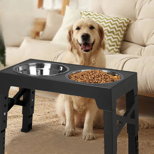 Double Bowl Dog Feeder for Easy Mealtime