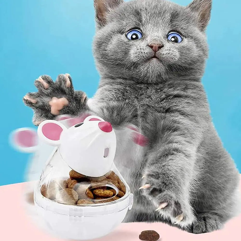 Leak-Proof Interactive Food Dispenser for Cats